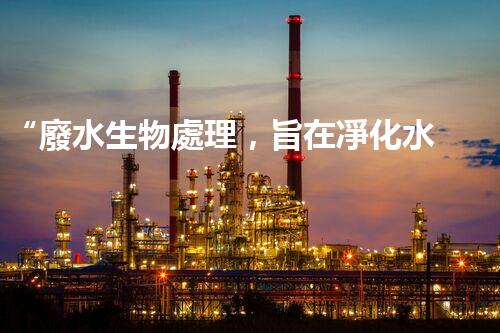 “廢水生物處理，旨在凈化水源，守護(hù)碧水藍(lán)天”